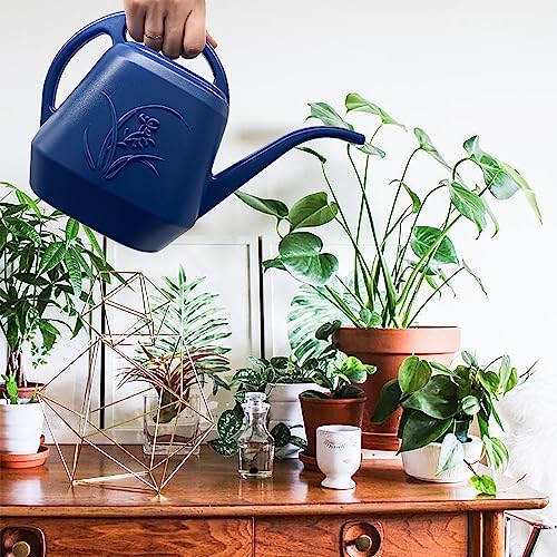 Hand Watering Can (Orange)