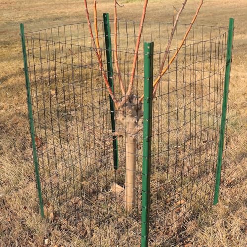 Black PVC Coated Welded Wire Fence 48" x 100' Roll (Black / 2''x3'' 16GA 48''x100')