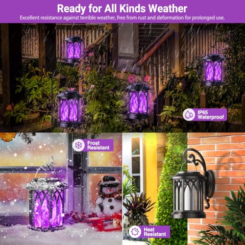 6 Pack Solar Lantern Outdoor Lights (Purple Light / 6 Pack)
