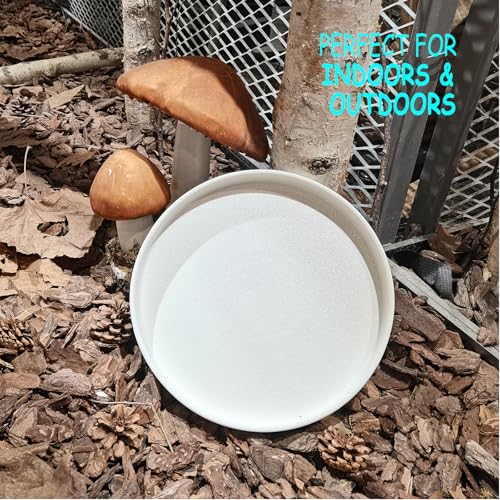 Plant Pot Saucer (10in(1 Pack) / Frosted White)