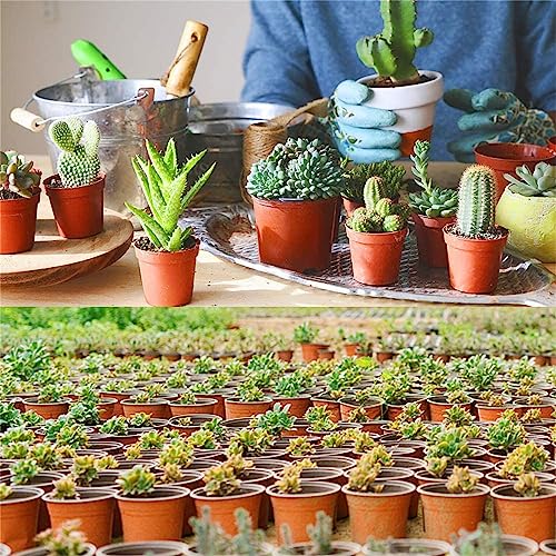 100 PCS 6 Inches Plastic Plant Nursery Pots