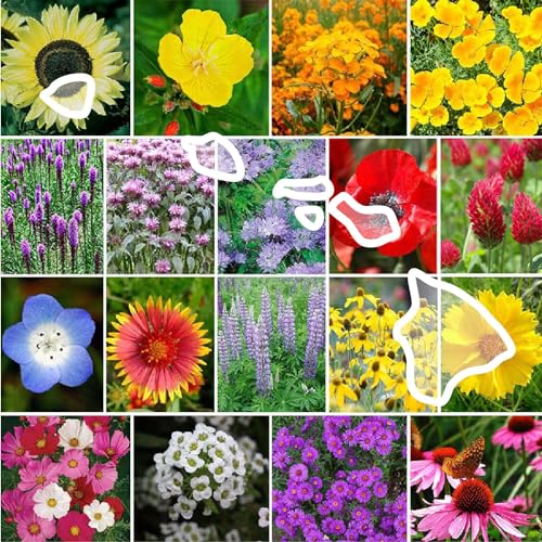 Hawaii Wildflower Mixed Seeds for Planting