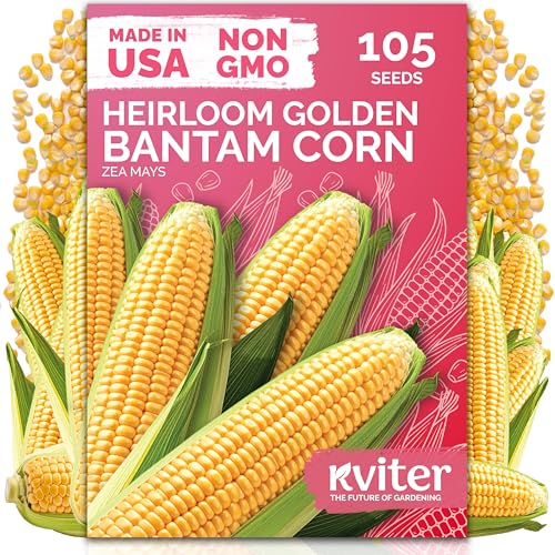 105 Golden Bantam Sweet Corn Heirloom Vegetable Seeds