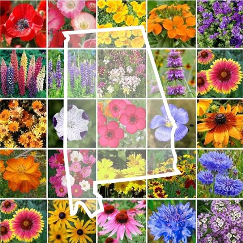 Alabama Wildflower Mixed Seeds for Planting