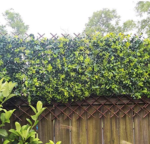 Nature Willow Trellis Expandable Plant Support Plant Climbing Lattices Trellis Willow Expandable Trellis Fence for Climbing Plants Support 36x92 Inch (4 Count)