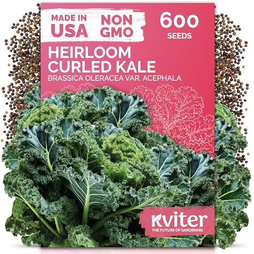 600 Vates Blue Scotch Curly Kale Seeds