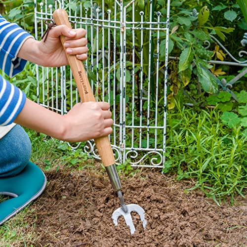 Garden Hand Fork (Hand Fork)