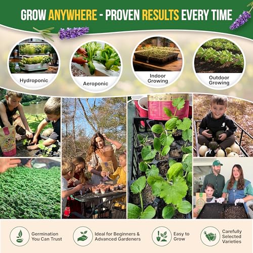 30 Medicinal & Tea Herb Seeds Variety Pack 15