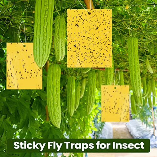700 Pcs 6x8 Inch Yellow Sticky Traps for Gnats (700 Count)