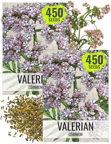 Valerian Seeds to Plant Heirloom Non (2 Packs)
