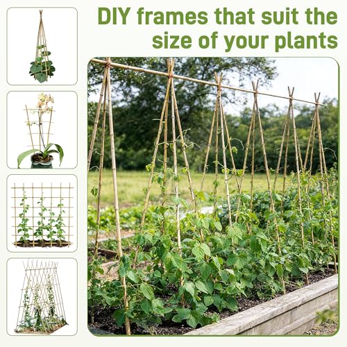 0.32”-0.4"/18Inch Garden Stakes, Natural Bamboo Sticks Plant Stakes for Indoor and Outdoor Plants，Poles for Tomatoes, Beans, Potted Plants(50Pcs)… (50 Count)