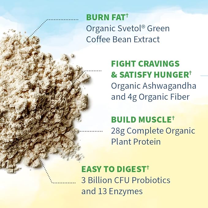 Garden of Life Raw Organic Fit Original Flavor Vegan Protein Powder – 28g Plant Based Powder for Weight Management, Raw Protein, Probiotics & Fiber, Non-GMO, Gluten-Free, Vegan, 10 Servings