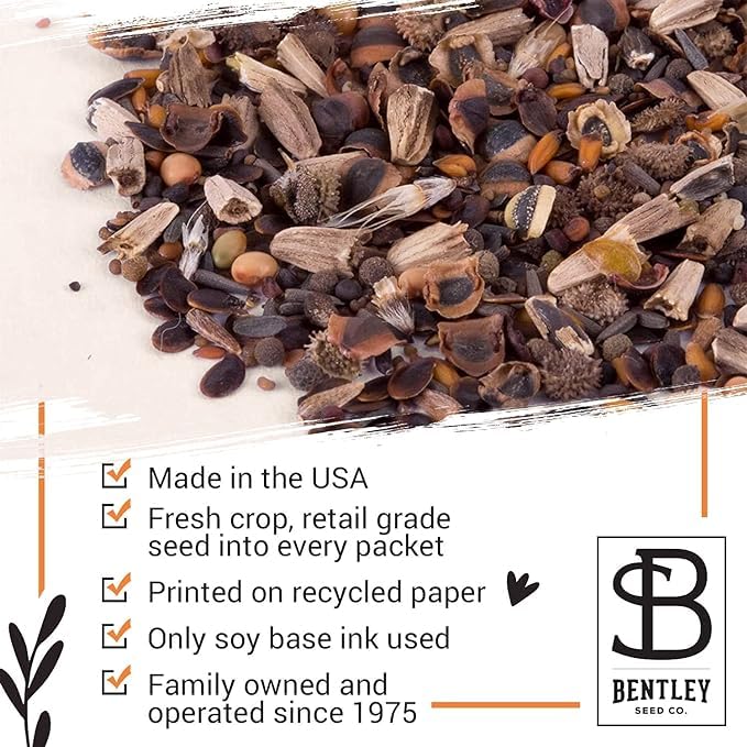 Bentley Earth Day 2025 Bee The Change (25 Count)