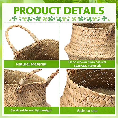 4 Pcs Woven Seagrass Baskets Belly Basket (4 Count)