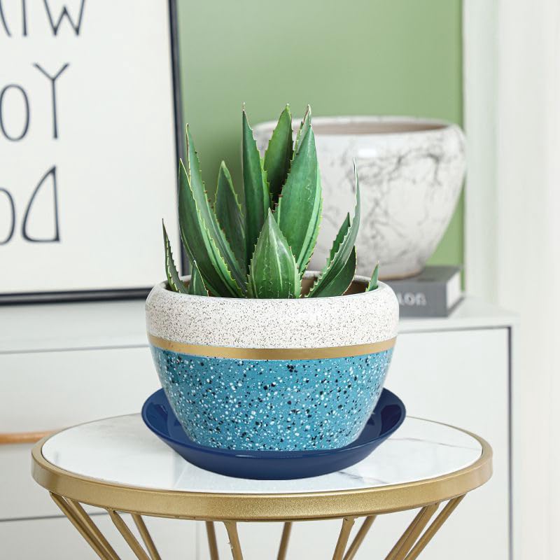 Plant Saucer 8 Inch (2 Count)