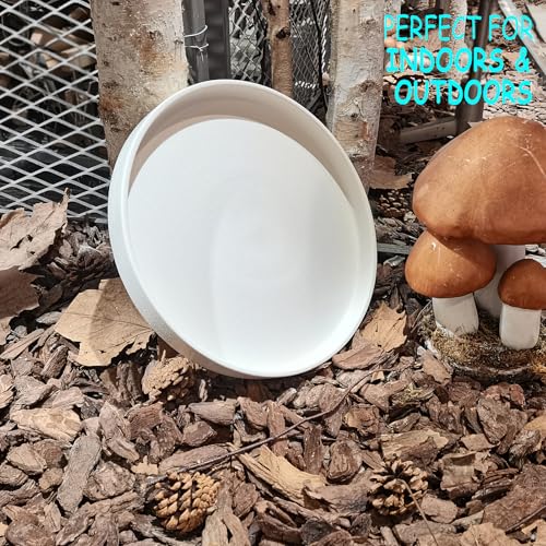 Plant Saucer for Indoors (12in(1 Pack) / Frosted White)