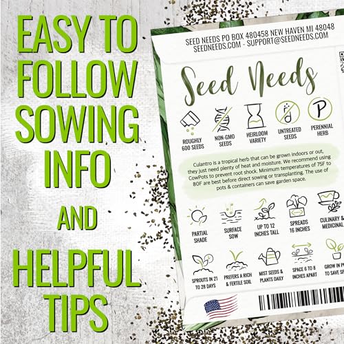 Culantro Seeds to Plant Heirloom Non (2 Packs)
