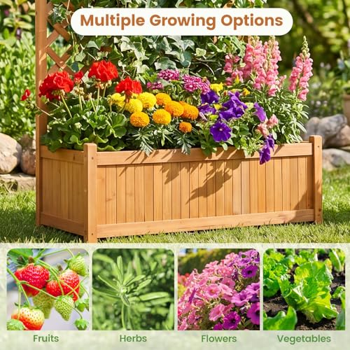 71" Raised Garden Bed with Trellis & Garden Box (2 Count)