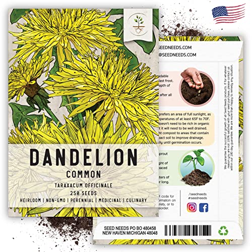 Dandelion Seeds to Plant Heirloom & Non (2 Packs)