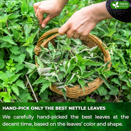 Premium 135 Bags Nettle Leaf Tea (135 Count)