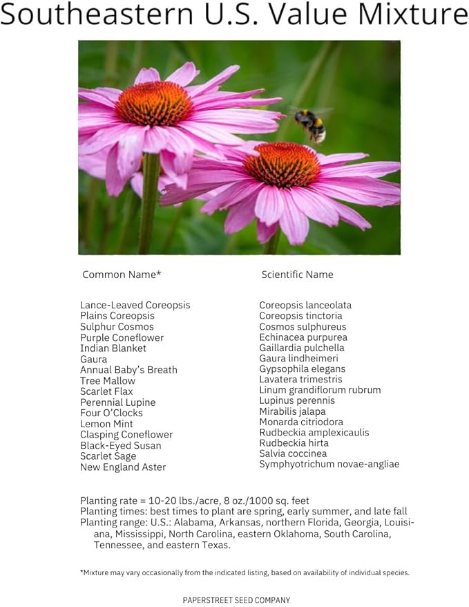 Southeastern US Bulk Perennial Wildflower Seed Mix 1lb Covers 2,000sq-ft - Attract Pollinators, Multi-Color Blooms - Southeast US Species Plant in Spring/Fall, Earth-Friendly Packaging (1/4 Pound)