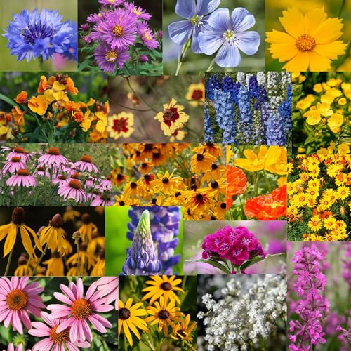Mountain Valley Seed Co Midwestern Wildflower Seed 5 Lb 3 Million Seeds (5 Lb / Midwest)