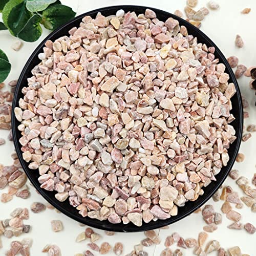 5LB Succulent and Cactus Gravel Pebbles (80 Ounce)