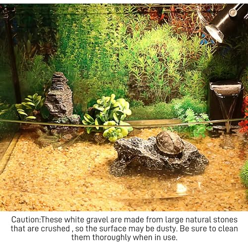 45lb Cactus Pea Gravel Rocks (720 Ounce)