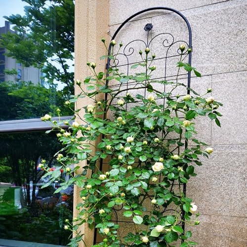 4 Pack Metal Garden Trellis for Climbing Plants (Black C-86.7"H)