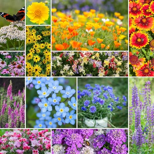 Deer Resistant Wildflower Mixed Seeds for Planting (120000 Count)