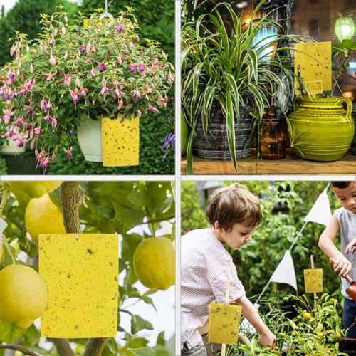 50-Pack Dual-Sided Yellow Sticky Traps for Flying Plant Insect Fungus Gnats Whiteflies Aphids Leafminers Thrips (6x8 Inches, Included 50pcs Twist Ties) (50 Count)