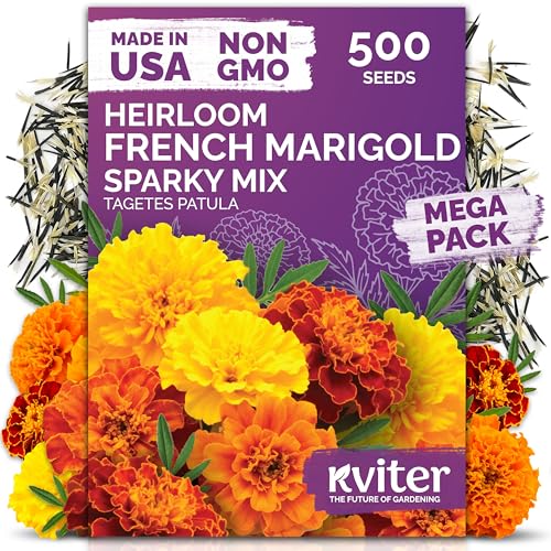 500 French Marigold Heirloom Flower Seeds for Planting