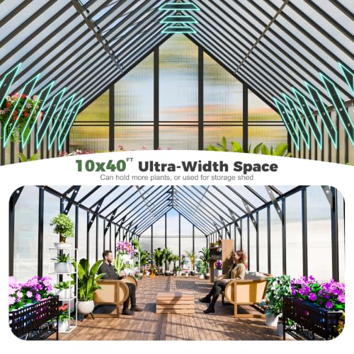 10x40 FT Greenhouse for Outdoors