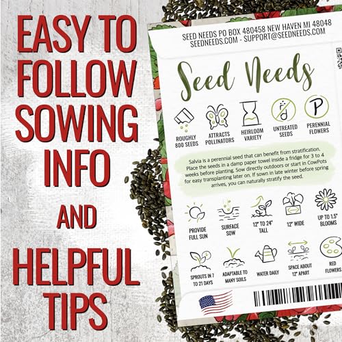 Scarlet Sage Seeds to Plant Perennial Red Salvia 2 Packs (2 Packs / Scarlet Salvia)