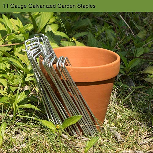 Landscape Staples 6 Inch Galvanized Anti (50 Count)
