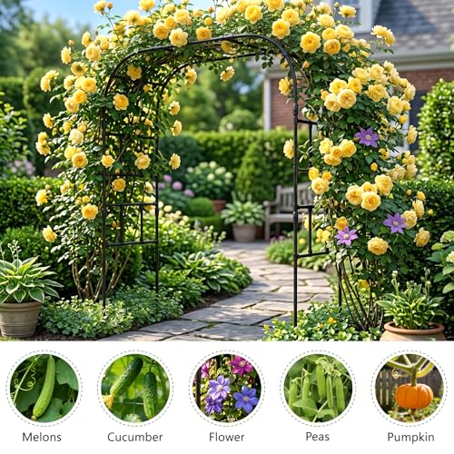 87" H x 79" L Garden Arch Trellis (87"H x 79"L x 16"W)