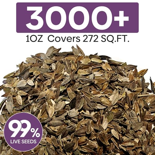 Zinnia Seeds Mix for 2026