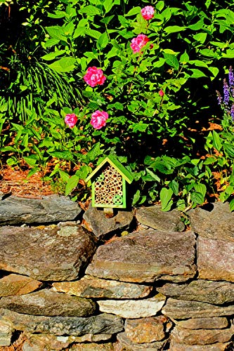 Mason Bee Houses and Supplies (Forest Green)