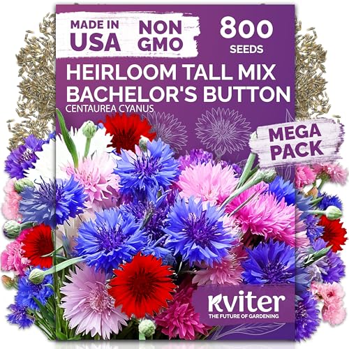 800 Mix Bachelor Button Heirloom Flower Seeds