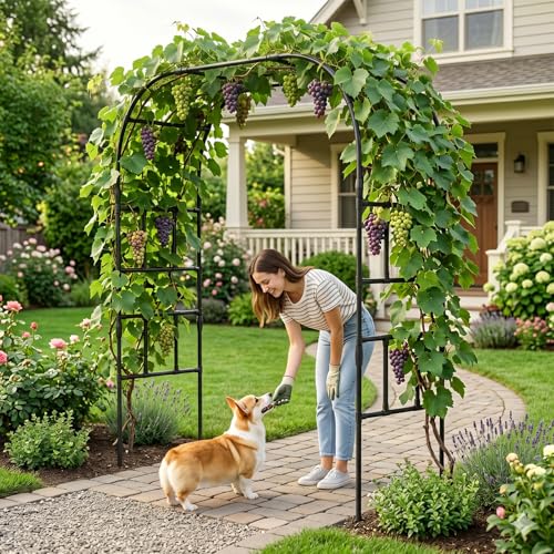 87" H x 79" L Garden Arch Trellis (87"H x 79"L x 16"W)