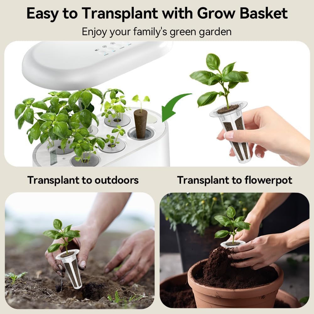 inbloom Asian Herb Seed Pod Kit for AeroGarden, iDoo, Ahopegarden, 7 Pods with 350+ Seeds (Basil, Parsley, Cilantro, Chrysanthemum, Pak Choi, Crystalline Ice Plant, Onion) Hydroponics Growing System