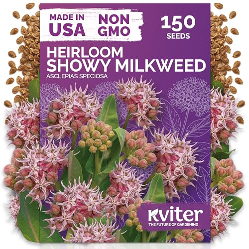 150 Showy Milkweed Heirloom Flower Seeds for Planting
