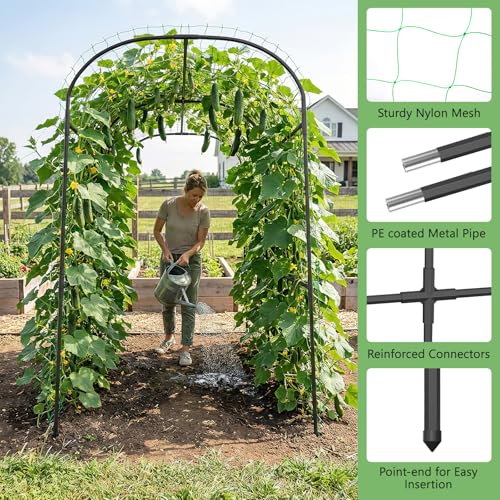 Garden Arch Trellis (71" L x 47.2" W x 83" H)