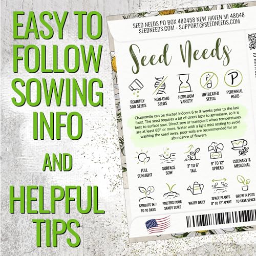 Roman Chamomile Seeds to Plant Heirloom Non (2 Packs)