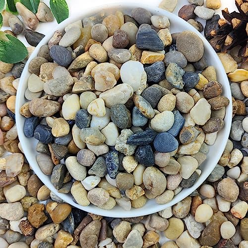 10lbs Natural River Rocks for Plants