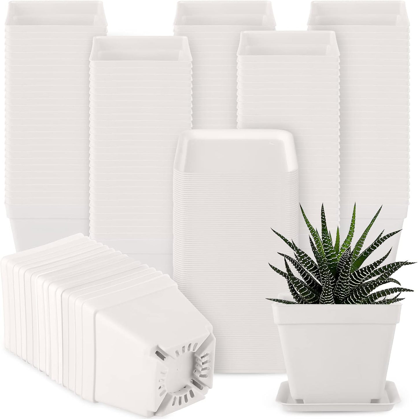 100 Pieces 4 Inch Flower Pots Square Plants Nursery Pot Plastic Plant Seedling Pots Nursery Transplanting Planter Container with Saucer for Indoor Herbs Succulents Balcony Garden Office (White)