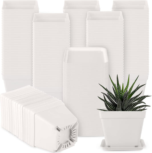 100 Pieces 4 Inch Flower Pots Square Plants Nursery Pot Plastic Plant Seedling Pots Nursery Transplanting Planter Container with Saucer for Indoor Herbs Succulents Balcony Garden Office (White)