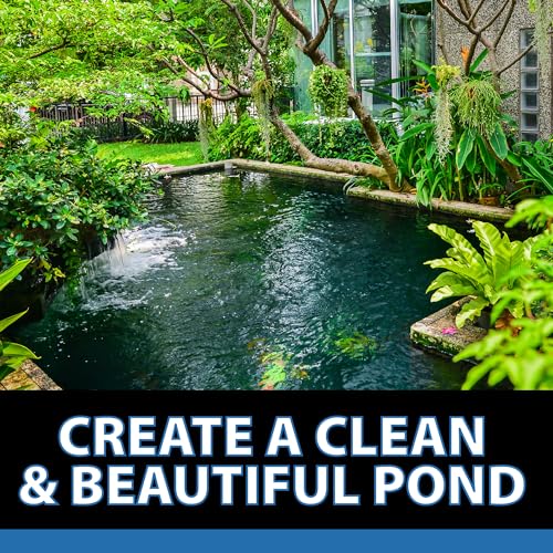 AlgaeOff String Algae Killer for Pond & Water Garden (25 Pounds)