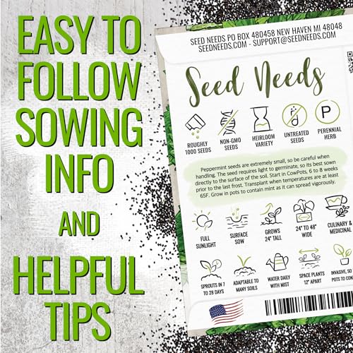 Peppermint Seeds to Plant Heirloom Non (2 Packs)