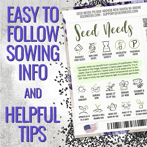 Blue Hidcote Lavender Seeds to Plant Heirloom Herbs 2 Packs (2 Packs)